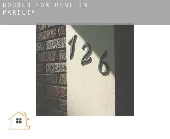 Houses for rent in  Marília