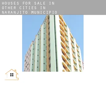 Houses for sale in  Other cities in Naranjito Municipio