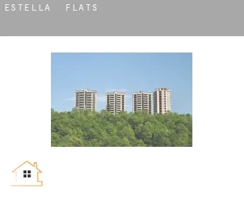 Estella / Lizarra  flats