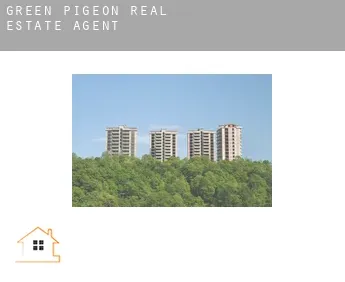 Green Pigeon  real estate agent