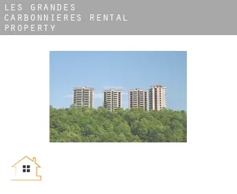 Les Grandes Carbonnières  rental property