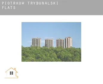 Piotrków Trybunalski  flats