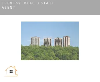 Thénisy  real estate agent