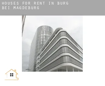 Houses for rent in  Burg bei Magdeburg