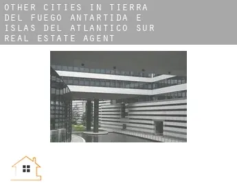 Other cities in Tierra del Fuego, Antartida e Islas del Atlantico Sur  real estate agent