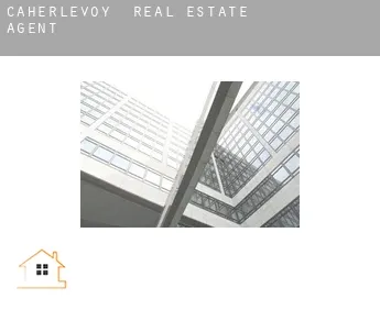 Caherlevoy  real estate agent