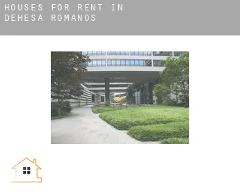 Houses for rent in  Dehesa de Romanos