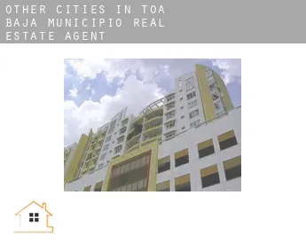 Other cities in Toa Baja Municipio  real estate agent