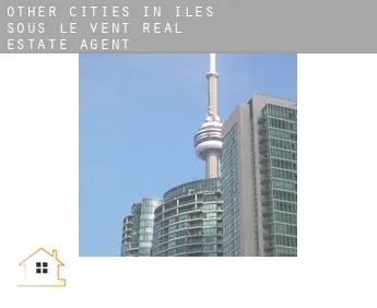 Other cities in Iles Sous-le-Vent  real estate agent
