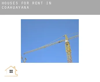 Houses for rent in  Coahuayana