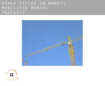 Other cities in Manati Municipio  rental property