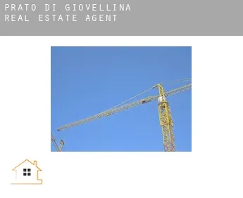 Prato-di-Giovellina  real estate agent