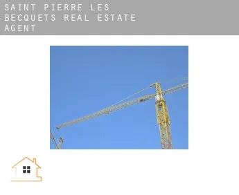 Saint-Pierre-les-Becquets  real estate agent