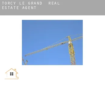 Torcy-le-Grand  real estate agent