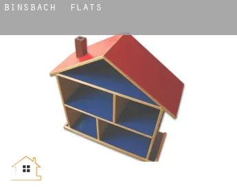 Binsbach  flats