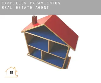 Campillos-Paravientos  real estate agent