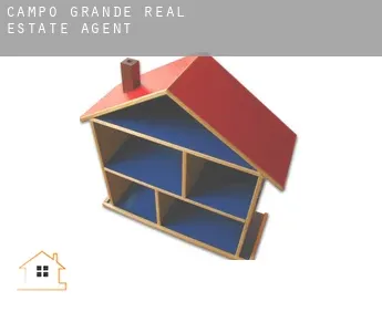 Campo Grande  real estate agent