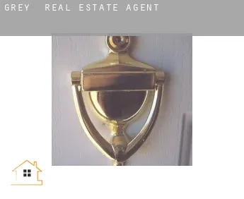Grey  real estate agent