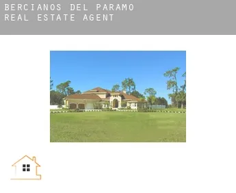 Bercianos del Páramo  real estate agent