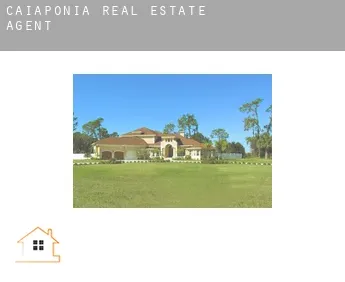 Caiapônia  real estate agent