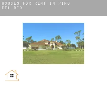 Houses for rent in  Pino del Río