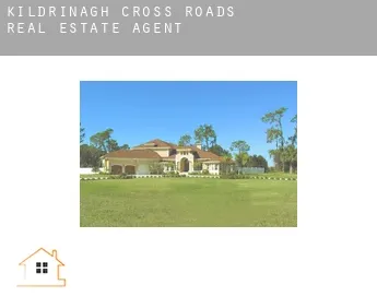 Kildrinagh Cross Roads  real estate agent