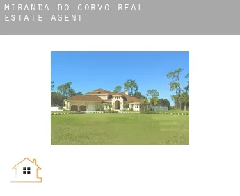 Miranda do Corvo  real estate agent