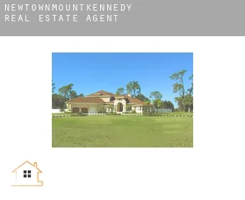 Newtownmountkennedy  real estate agent