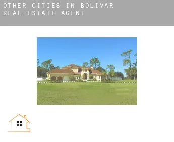 Other cities in Bolivar  real estate agent