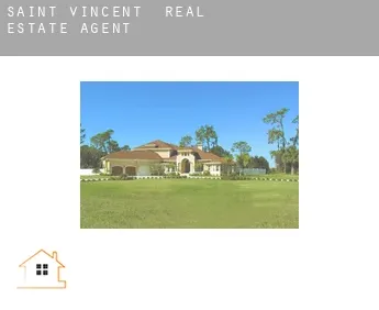 Saint-Vincent  real estate agent