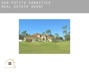 San Potito Sannitico  real estate agent