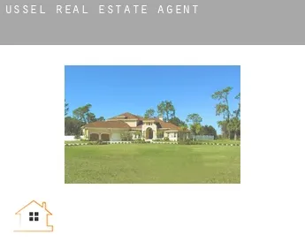 Ussel  real estate agent