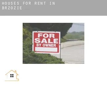 Houses for rent in  Brzozie