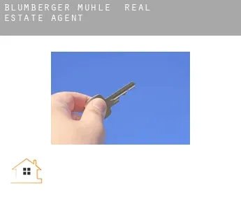 Blumberger Mühle  real estate agent