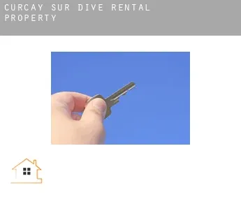 Curçay-sur-Dive  rental property