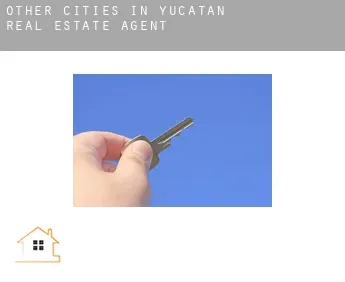 Other cities in Yucatan  real estate agent