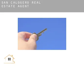 San Calogero  real estate agent