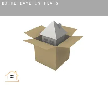 Notre-Dame (census area)  flats