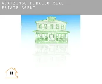 Acatzingo de Hidalgo  real estate agent