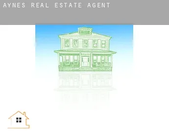 Aynes  real estate agent