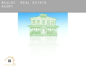 Bouloc  real estate agent