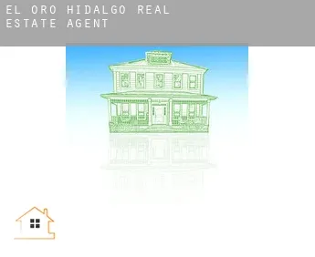 El Oro de Hidalgo  real estate agent