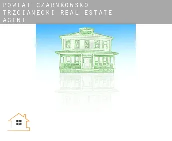 Powiat czarnkowsko-trzcianecki  real estate agent