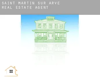 Saint-Martin-sur-Arve  real estate agent