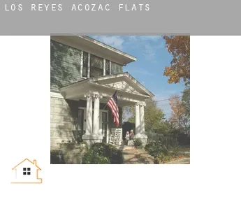 Los Reyes Acozac  flats