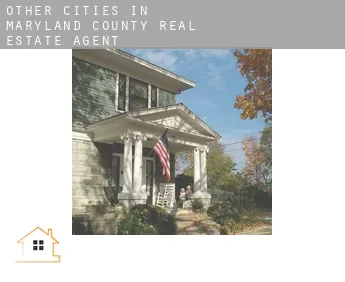 Other cities in Maryland County  real estate agent