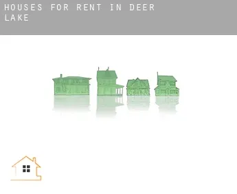 Houses for rent in  Deer Lake