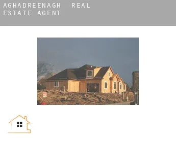 Aghadreenagh  real estate agent