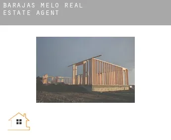 Barajas de Melo  real estate agent