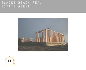 Blacks Beach  real estate agent